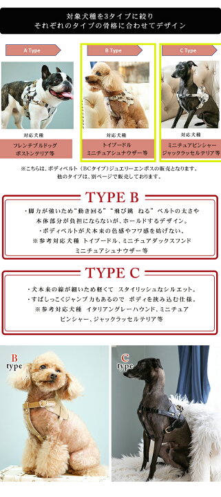 楽天市場】Now&Fountain ボディベルト Bタイプ Cタイプ ジュエリー 