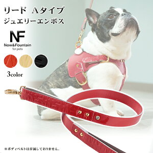 Now&Fountain [h A^Cv WG[G{X TYPE A U UR Ђ xg [V ^ ^ t`uhbO {XgeA ybg  U[ {v p hbO N&F NF IMAIBAG C}