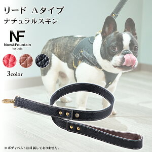 Now&Fountain [h A^Cv i`XL TYPE A U UR Ђ xg [V ^ ^ t`uhbO {XgeA ybg  U[ {v p hbO N&F NF IMAIBAG C}C