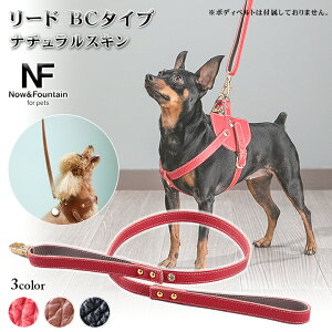 Now&Fountain [h BC^Cv i`XL TYPE BC U UR Ђ xg [V ^ ^ gCv[h ~j`AViEU[ ybg  U[ {v p hbO N&F NF IMAIBAG C