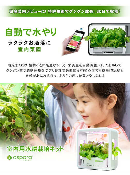 楽天市場 水やり不要 アプリ管理の 水耕栽培キットアスパラガーデン Lite スターターキット 家庭菜園 ガーデニング 初心者 30日で収穫 室内用 野菜 ミニチュアガーデン 家庭菜園 種から野菜やハーブ お花 水やり不要 お手入れ不要 Ledライト 野菜 想いを繋ぐ百貨店