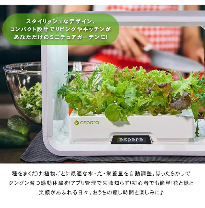 楽天市場 水やり不要 アプリ管理の 水耕栽培キットアスパラガーデン Lite スターターキット 家庭菜園 ガーデニング 初心者 30日で収穫 室内用 野菜 ミニチュアガーデン 家庭菜園 種から野菜やハーブ お花 水やり不要 お手入れ不要 Ledライト 野菜 想いを繋ぐ百貨店