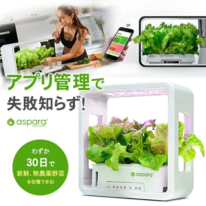 楽天市場 水やり不要 アプリ管理の 水耕栽培キットアスパラガーデン Lite スターターキット 家庭菜園 ガーデニング 初心者 30日で収穫 室内用 野菜 ミニチュアガーデン 家庭菜園 種から野菜やハーブ お花 水やり不要 お手入れ不要 Ledライト 野菜 想いを繋ぐ百貨店