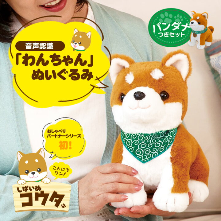 楽天市場】しばいぬコウタ【バンダナ付きセット】 しばいぬこうた 音声 