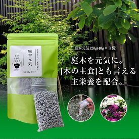 庭木元気 120g（40g×3袋）窒素 リン酸、カリ ケイ酸 たんぱく質 葉緑体 開花 結実 生育 枝分かれ 根の伸長 促す 水分蒸散調節 根 茎 強く 害虫 寒さ 抵抗力をつける 耐病 耐虫性 耐倒性 根 活性化 ガーデニング おいしくなる プランター チューリップ サクラ マツ ウメ