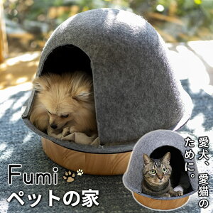 Fumi ybg̉ t~ ybgnEX h[^ tFg Lp p ybgxbh xbh nEX   CeA AeB[N 킢 t LnEX Lxbh nEX xbh 