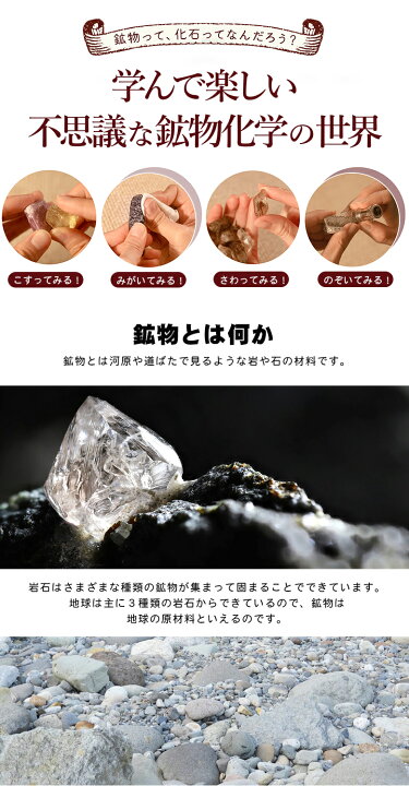 楽天市場】【送料330円でまとめて発送！】化石や鉱物が入っている 