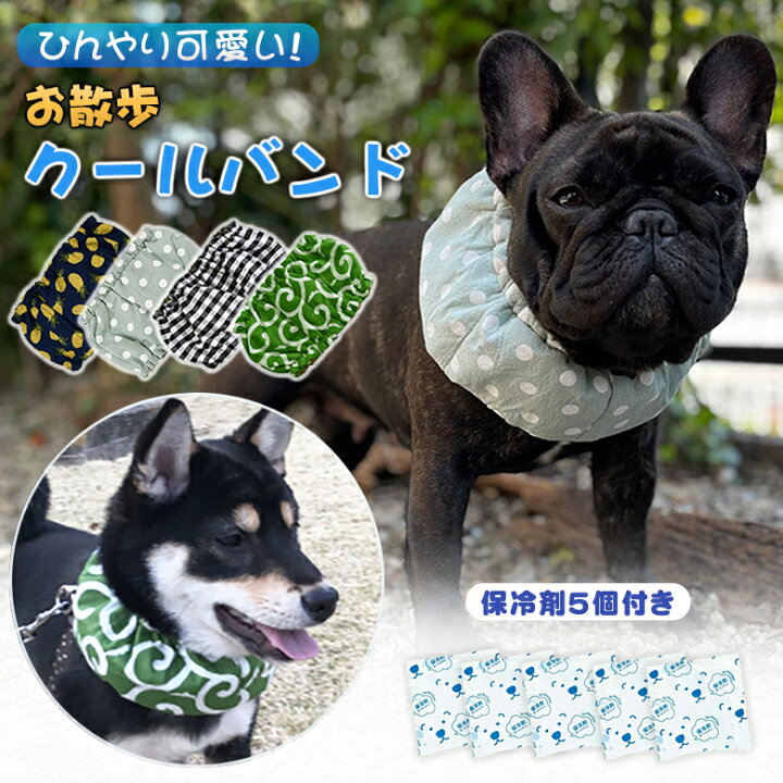 楽天市場】クールバンド + 保冷剤5個セット！ 犬 クール バンダナ 