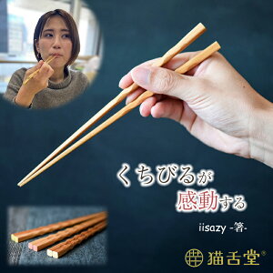 CCTW[ iisazy  - 22cm jo[TfUC   ͂ Jg[ H Hׂ₷ ₷ ؐ L㓰 Jg[ Hׂ₷ | Џ@| |   q 씢