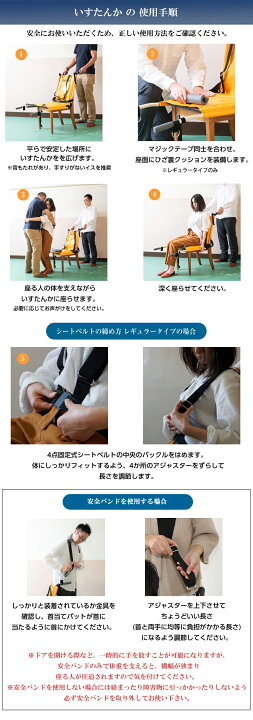 楽天市場】いすたんか レギュラータイプ 【IT-100D】避難用具 避難用品 