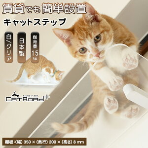 animacolle Aj}R LbgXebv  NA LbgEH[N   { ȒP ݒu DIY  Xebv L cat ˂ catroad+ t Hsv Lbg^[  S Lbg