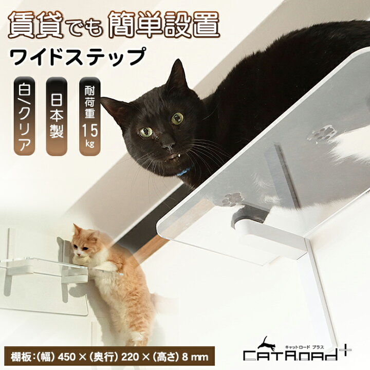 楽天市場】animacolle アニマコレ ワイドステップ キャットステップ 白 