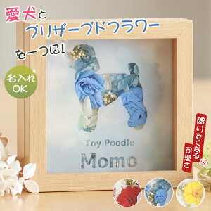 Ԃƌ vU[uht[  CeAt[  t[Mtg 񂿂 ybg  킢  a LO vo 茳{ ؐ KXt[ 20Ή