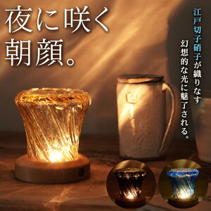 ]ː؎qɎqv ɍ炭B]ː؎qɎqDȂzIȌɖBuꏊɂĕ\ςBASAGAO LAMP CeACg [d 炬 yރ|[^u