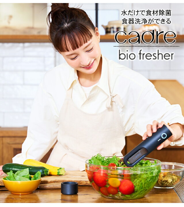 楽天市場】cadre bio fresher カドレ バイオフレッシャー コードレス 