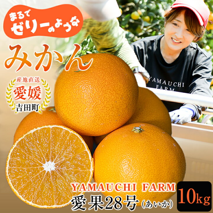 愛媛県産愛果28号柑橘10kg