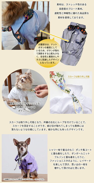 楽天市場】Numero wang Tokyo スカーフ付きストレッチシャツ チワワ 