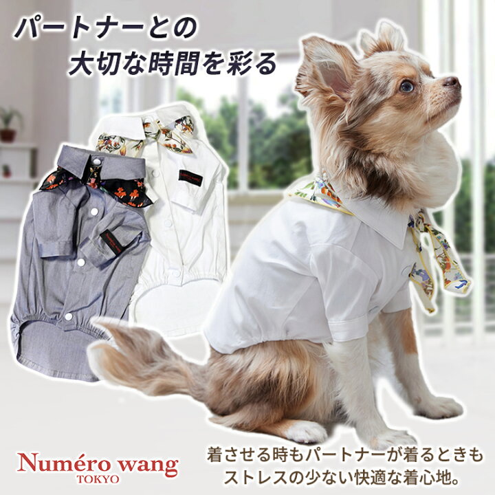 楽天市場】Numero wang Tokyo スカーフ付きストレッチシャツ チワワ 