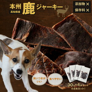 {BW[L[y30g×4܃Zbgz񂭃W[L[ ̃ybgt[h WrG̃ybgt[h ߃Jbg ݂₷ Hׂ₷ H ^ ۑsgp Ysgp h