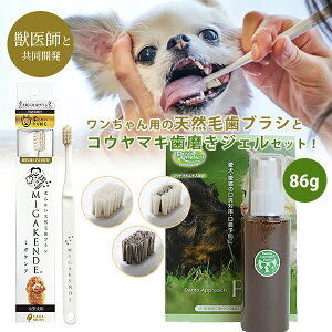 y~KPf MIGAKENDE VR uVzƁyybgp WF f^Av[` yeB 86gz̃Zbg̔łBp   ^ puV ybgpuV denta app