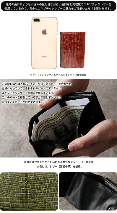 楽天市場】リザード革 ミニ財布 テジュー トカゲ革 財布 リザード 