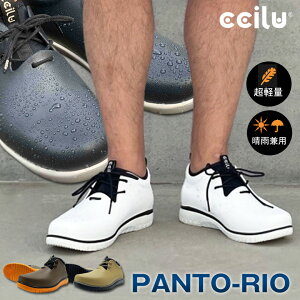 ccilu(`) panto-rio Y jp CV[Y pg I h C Xj[J[ u[c y J h C ʋ y[Jbg  Cu[c V[gu[c oCN ] A