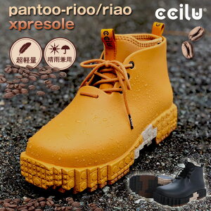 ccilu(`) pantoo-paoloo/polao xpresole jp CV[Y nCJbg GNXv\[ ubN\[ h C Xj[J[ u[c y J h C ʋ y[Jbg  C