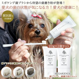 ミガケンデ MIGAKENDE【歯ブラシと歯磨き粉のセット】歯みがき粉 歯磨きジェル 40g（20g×2個セット） バイオアパタイト 研磨剤不使用 無添加 愛犬 ワンちゃん 小型犬 犬用歯ブラシ ペット用歯ブラシ オーラルケア 歯みがき 歯磨き 歯周病 ヤギ ウマ 日本製