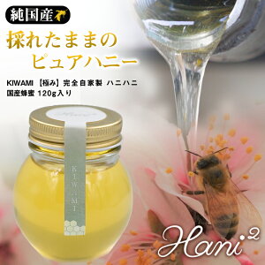Hani2 KIWAMI 120g I ݂͂ n`~c ɂ SԖ nj[ Y   njnj wA[xb` m[uh Z  { Ɛ Mtg v[g I