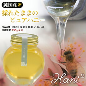 Hani2 KIWAMI 250g 蜂蜜 はちみつ ハチミツ 極み 百花蜜 ハニー 純国産 美味しい おいしい ハニハニ ヘアリーベッチ ノーブレンド 濃厚 あっさり 日本製 自家製 ギフト プレゼント 蜂