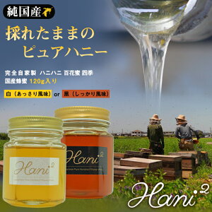 Hani2 SԖ lG 120g I ݂͂ n`~c nj[ Y   njnj wA[xb` m[uh Z  { Ɛ Mtg v[g I