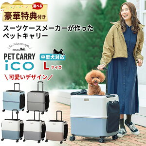 PETiCO ybgL[yIׂ鍋ؓTtIzy`R PET CARRY ICO CR LTCY ybgL[J[g ^ ^ 킢  ybgL[ ybgJ[g ybgoM[ L[