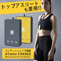 楽天市場】at-mini 充電器の通販