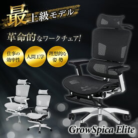 GrowSpica Elite グロウスピカ エリート【最上級モデル】ワークチェア オフィスチェア リクライニング メッシュ おしゃれ スタイリッシュ ランバーサポート 猫背 骨盤 人間工学 デスクチェア パソコンチェア PCチェア メッシュチェア ラシカル RASICAL