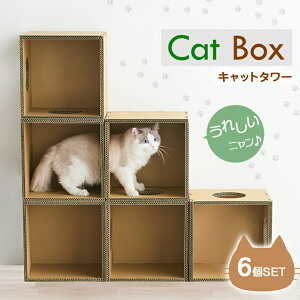 Lbg{bNX Lbg^[ Cat Boxy6ZbgzL lR ˂ Lbg cat LbgEH[N _{[ L^[ LnEX  킢 u CeA gݗ ߂Ƃ 