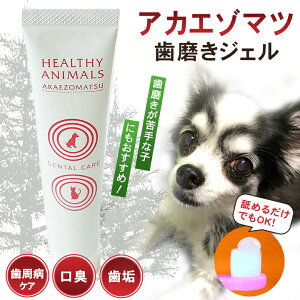AJG]}cWF  L oPA aPA ݂  ybg HEALTHY ANIMALS wV[Aj}Y I[PA f^PA dental care a L o C  