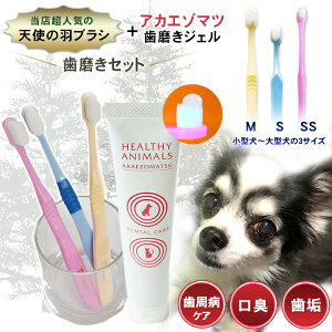 Vg̉HuV AJG]}cWFyZbg uVZbgzVg̎uV Vg̎Ԃ炵 ɂ̌puV  L oPA aPA ݂  ybg HEALTHY AN