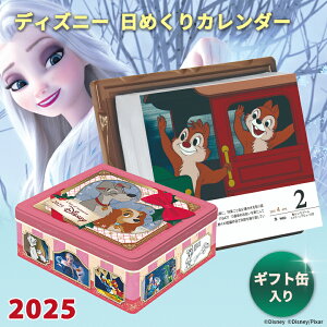 yʌzfBYj[ ߂J_[ 2025 Disney calendar ۑʓ Ǌ| J_[ 킢 ʓ J_[ A[gJ_[ ~bL[tY lC  NX}