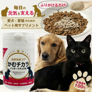 ރ`JC^[i`  L ybg ӂ肩 Tvg ybgpӂ肩 pTvg LpTvg ybgTv ybgpTv Yr[t kCr[t H