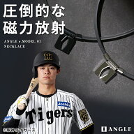 【阪神タイガース 中野拓夢選手着用】ANGLE e.MODEL 01 NECKLACE 磁気 ネックレス アングル メンズ レデ…