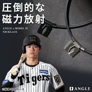 y_^CK[X 񖲑I蒅pzANGLE e.MODEL 01 NECKLACE C lbNX AO Y fB[X v`i ubN    lbNX ϊCgp  JbRCC 