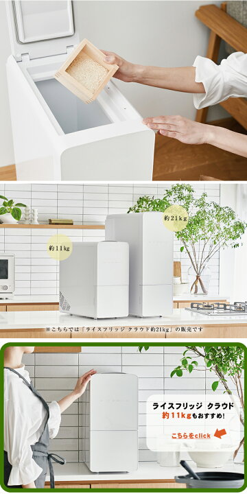 楽天市場】【3600円OFFクーポン利用可！】【豪華特典付き！】ライス 