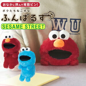 ӂ΂邸 ZT~Xg[g G NbL[X^[ SESAME STREET R{ ʂ 킢 p Lw Lw pP y T|[g fXN ItBX wZ w fXN[N 