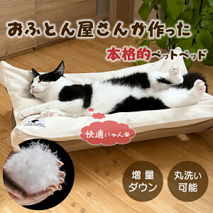 yʉHѓzONE FAMiLY nbN v~A^Cv { 􂦂 L lR ˂ ybgxbh ybgp    {iI NbV   v ӂӂ  