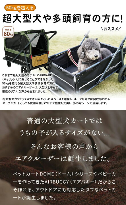 楽天市場】エアバギー AIR CRUISER SET【ベース・ルーフセット 