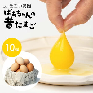 fR_ ΂̐̂܂i10j ܂  { ʎq  ꌧ     ܂   uh Mtg 蕨  yY 
