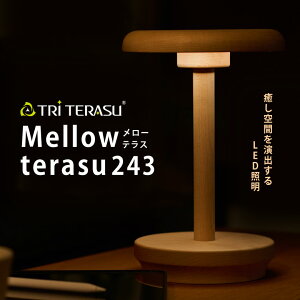 TRiTERASU [eX243 Ɩ  Cg v X^hCg e[uCg e[uX^h iCgCg LED ؐ@LEDƖ USB-Cd dF Q CeAƖ Ƌ ObY