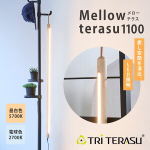 TRiTERASU [eX1100 Ɩ Cg v X^hCg ԐڏƖ tACg iCgCg LED ؐ@LEDƖ dF Q CeAƖ F Ƌ ObY Â rO 