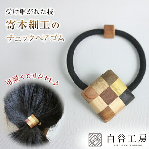 JH[ ؂̃wAS `FbNwAS ؍׍H wAS |Cg ANZg 킢  fB[X   wAAW wAANZT[ s͗l ؐ  