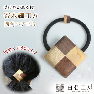 JH[ ؂̃wAS lpwAS ؍׍H wAS |Cg ANZg 킢  fB[X   wAAW wAANZT[ 􉽊w͗l ؐ  